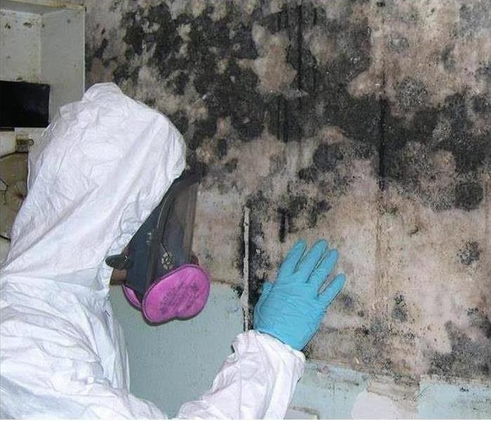 Mold Growth 